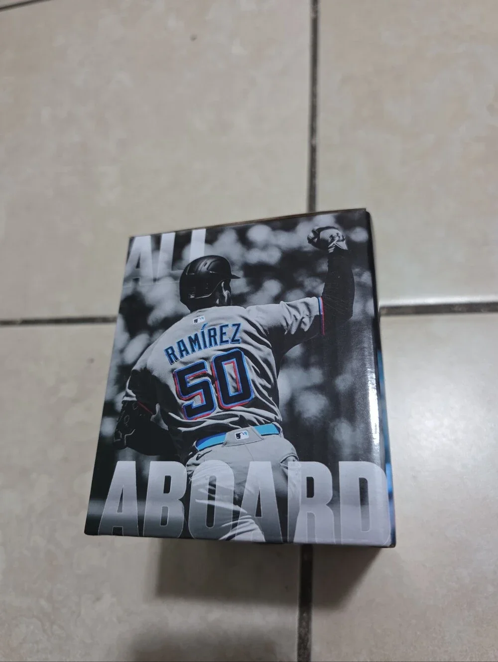 Baseball Bobblehead Box - Agustin Ramirez 'Gus Bus'